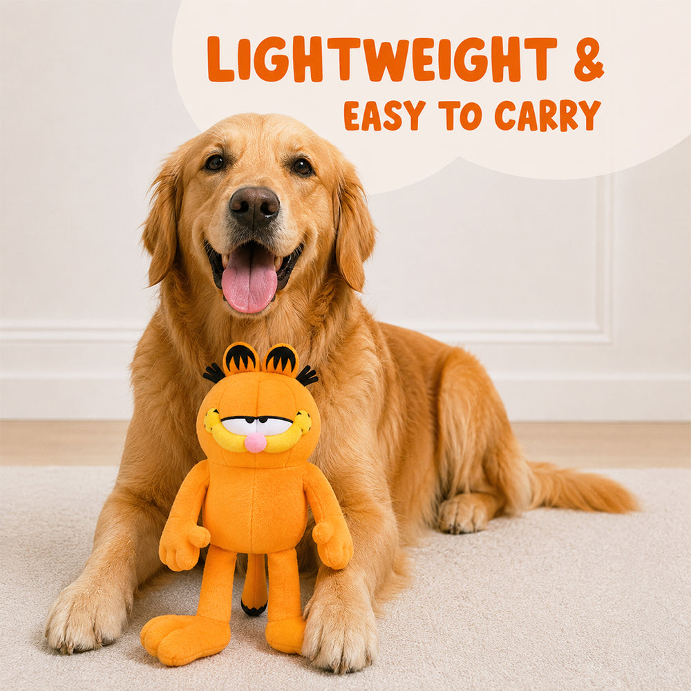 Garfield Plush Toy (2-in-1 Toy)