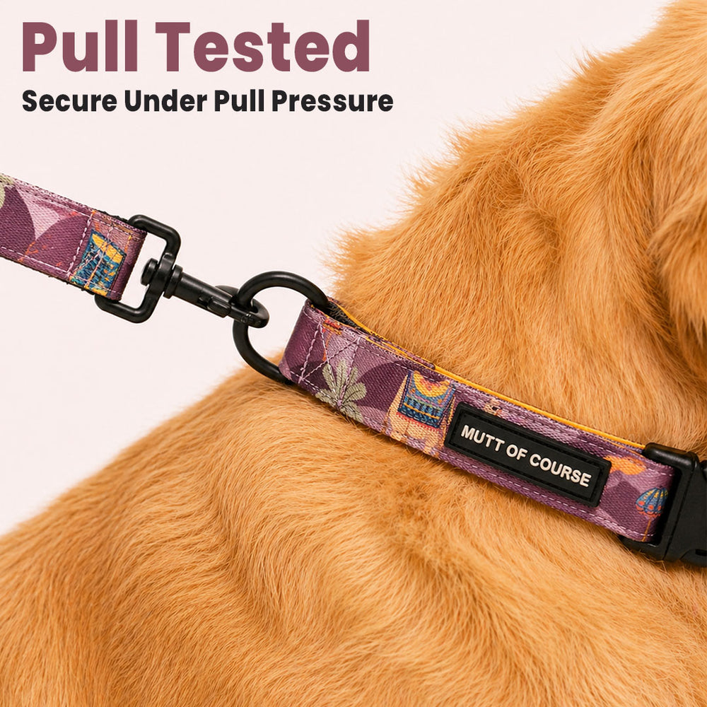 Royal Indian Camel Collar For Dogs