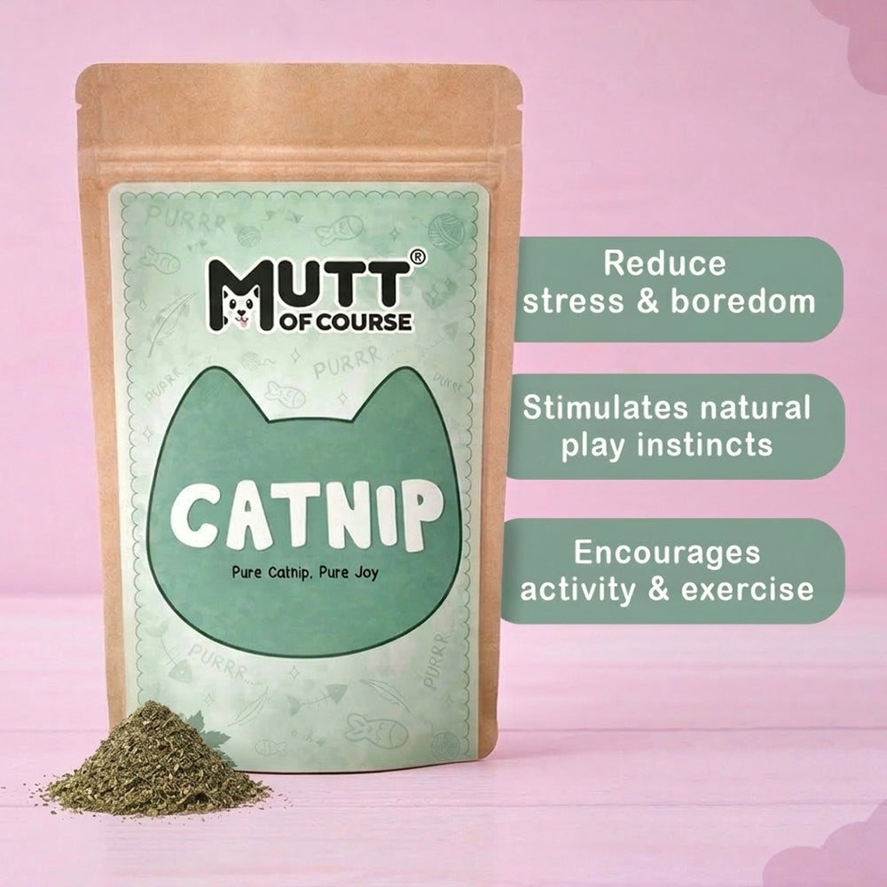 Mutt Of Course – Pure Cat nip