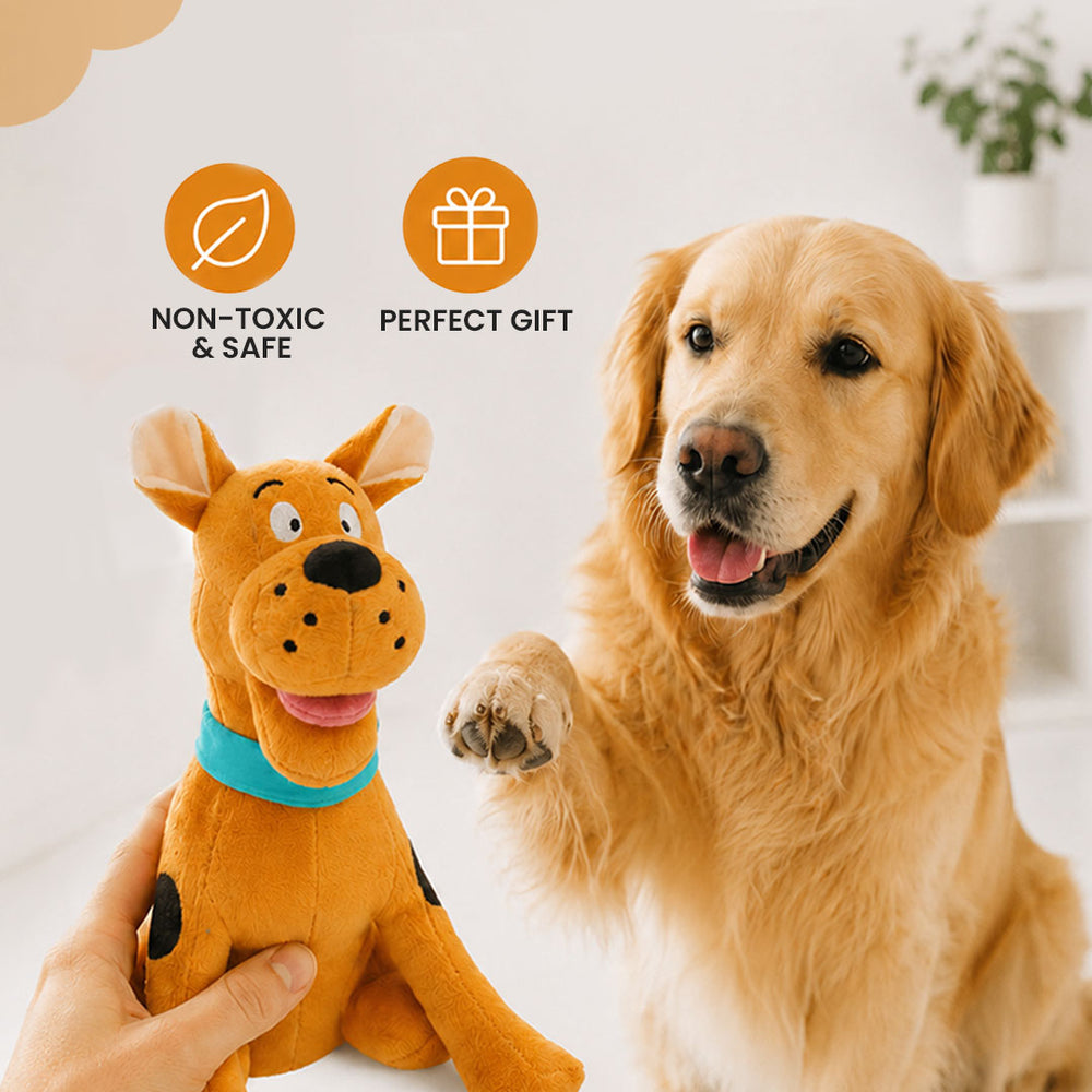 Mr D. Dog Toy