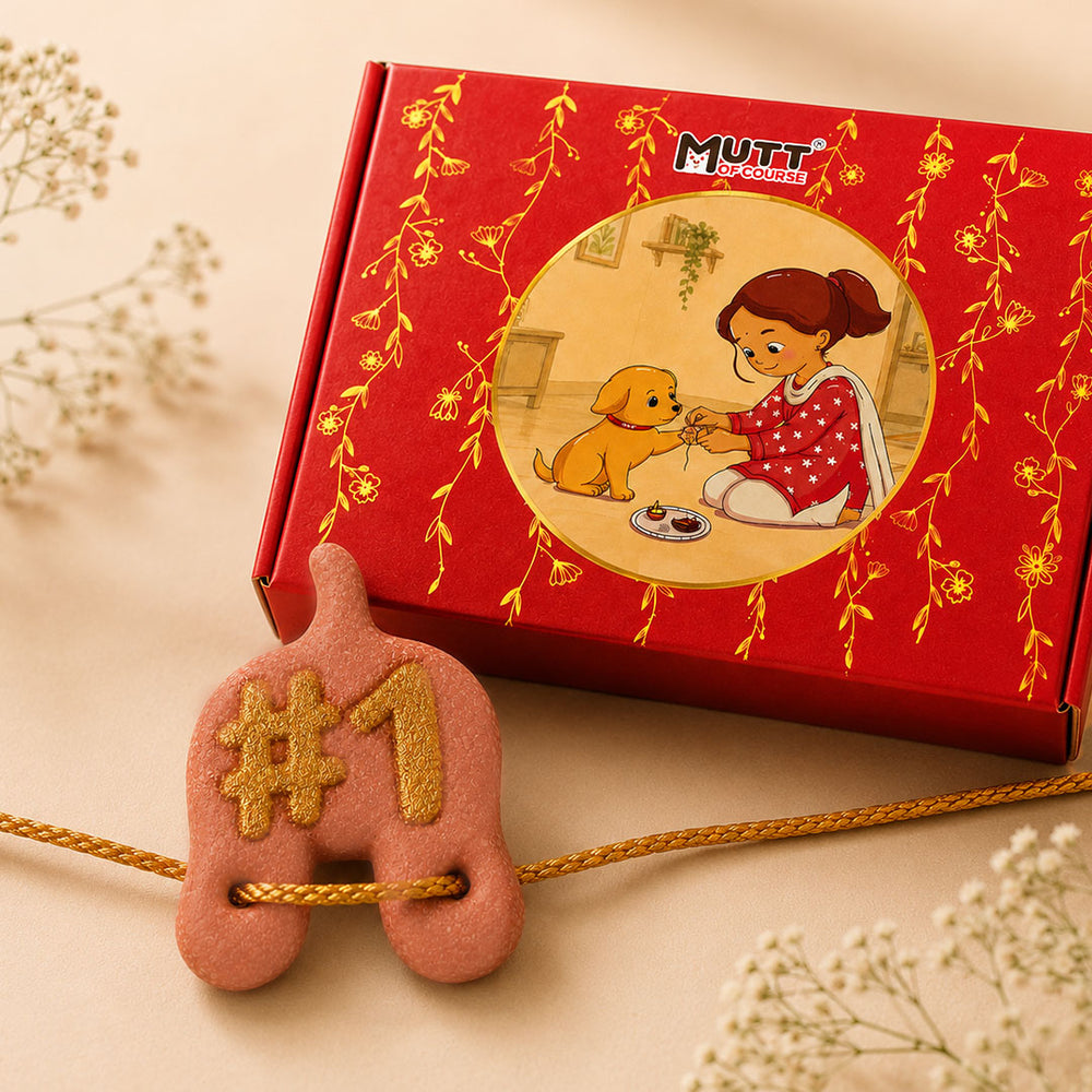 Rakhi Combo for Dogs & Cats | Pink & Gold Bow Tie + Edible Rakhi Treat