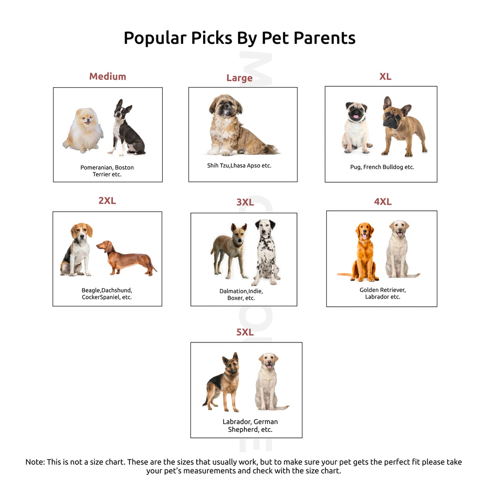 The Stud Denim Dog Jacket