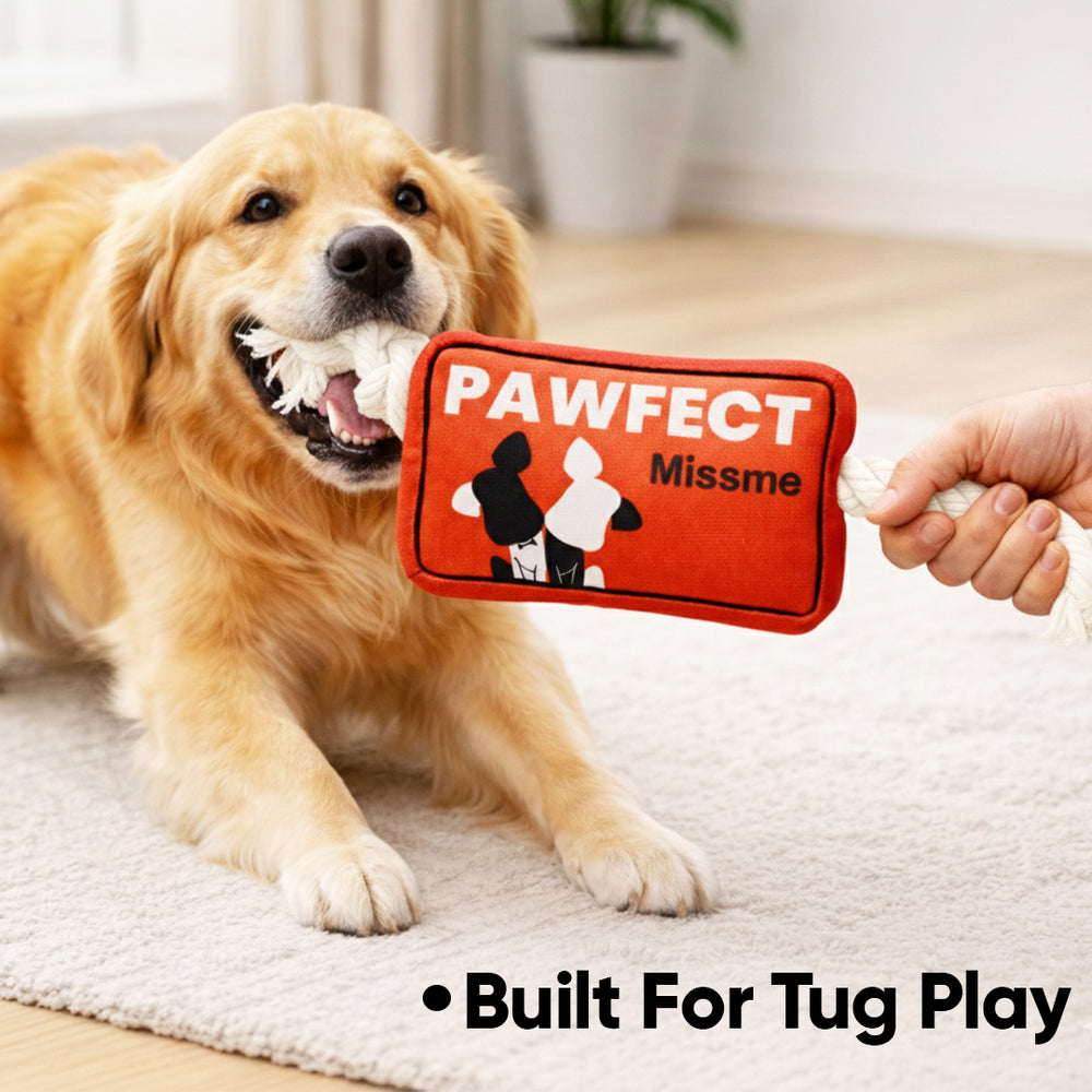 Pawfect Missme Squeaky Rope Dog Toy