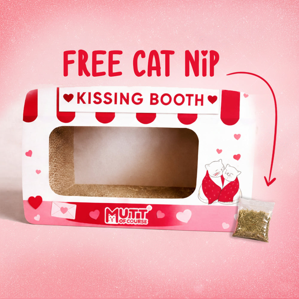 Kissing Booth Cat Scratcher & Hideout Cat Toy (With Catnip)