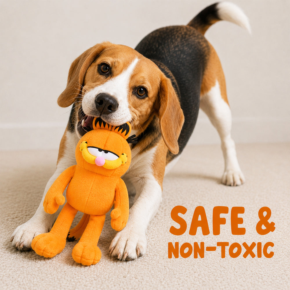 Garfield Plush Toy (2-in-1 Toy)