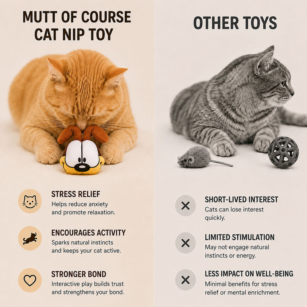 Odie Catnip Plush Toy