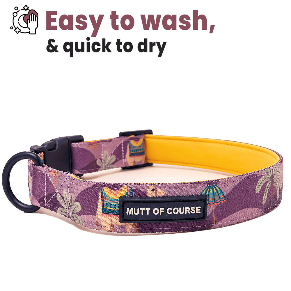 Royal Indian Camel Collar For Dogs