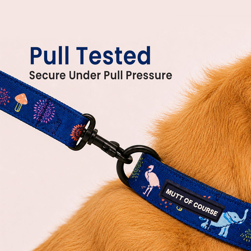 Jungle Collar For Dogs