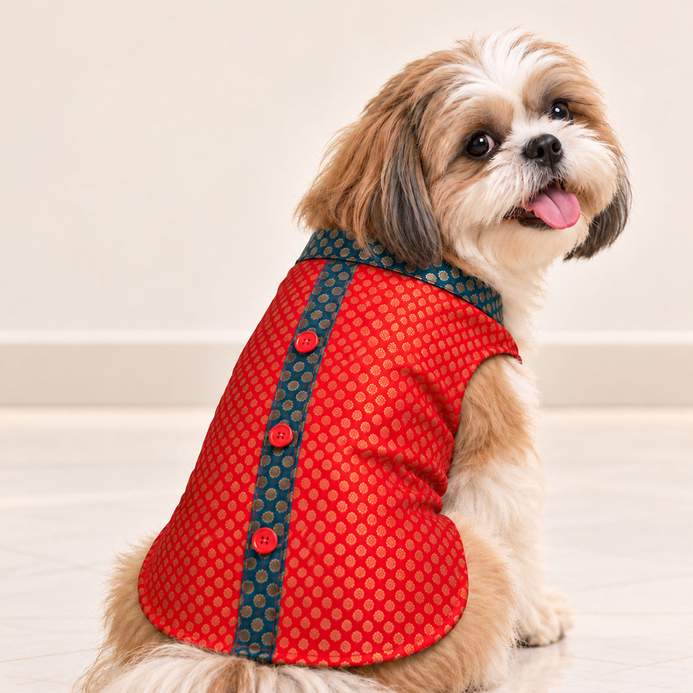 Banarasi Brocade Dog Kurta