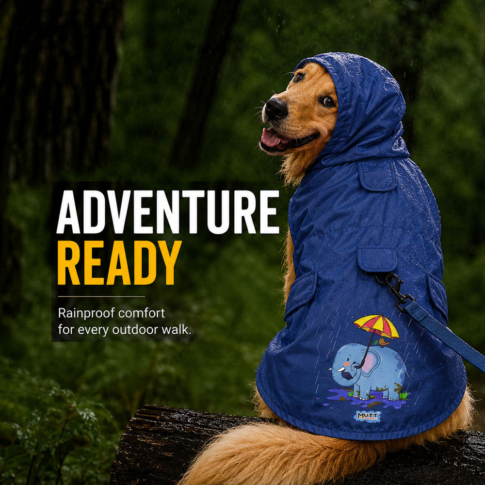 Rainy Trunks Waterproof Dog Raincoat with Hood & Mesh Lining | Collar & Harness Leash Opening | Blue