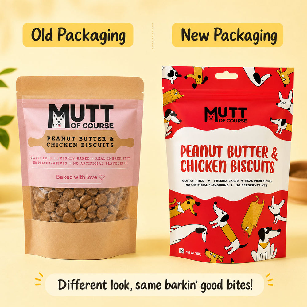 Peanut Butter Chicken Pet Treats (Gluten Free)
