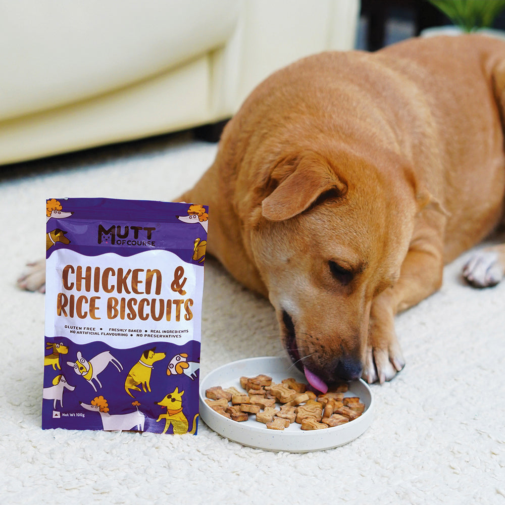 Chicken Rice Biscuits (For Cats And Dogs)