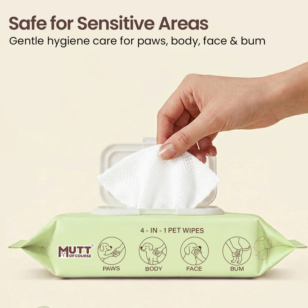 Water-Based Pet Wipes (Large) For Cats & Dogs