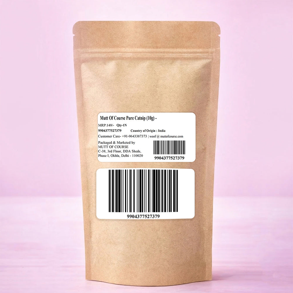 Mutt Of Course – Pure Cat nip