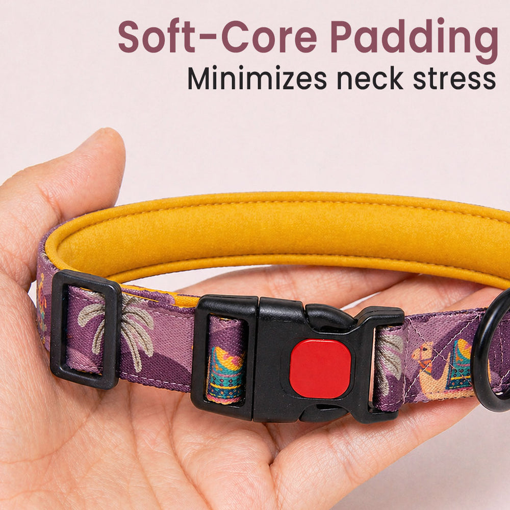 Royal Indian Camel Collar For Dogs