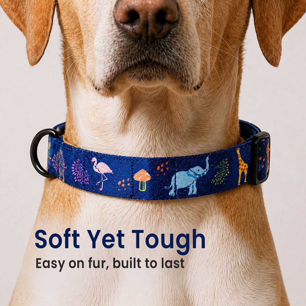 Jungle Collar For Dogs