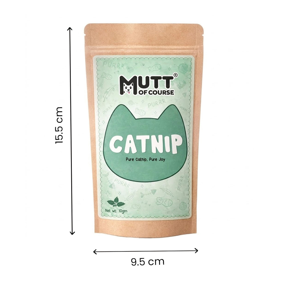 Mutt Of Course – Pure Cat nip