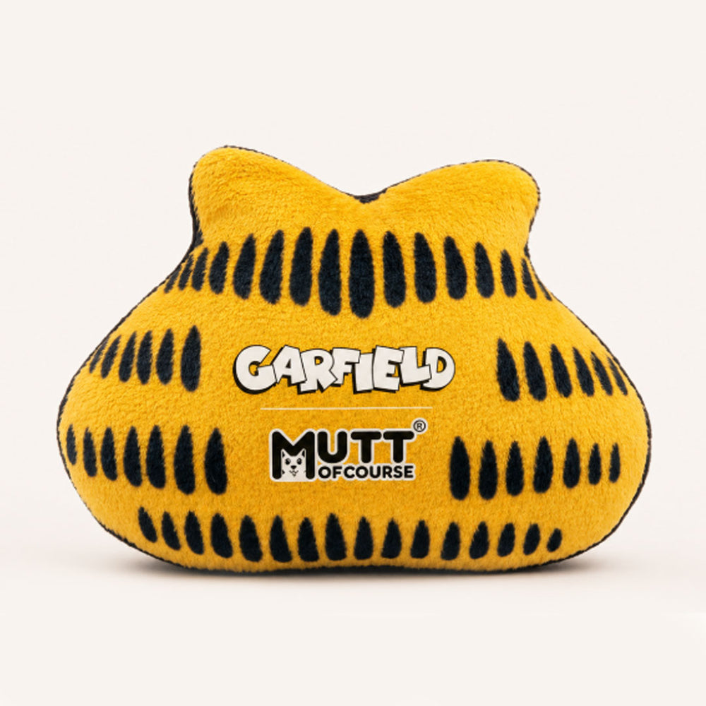 Garfield Catnip Plush Toy