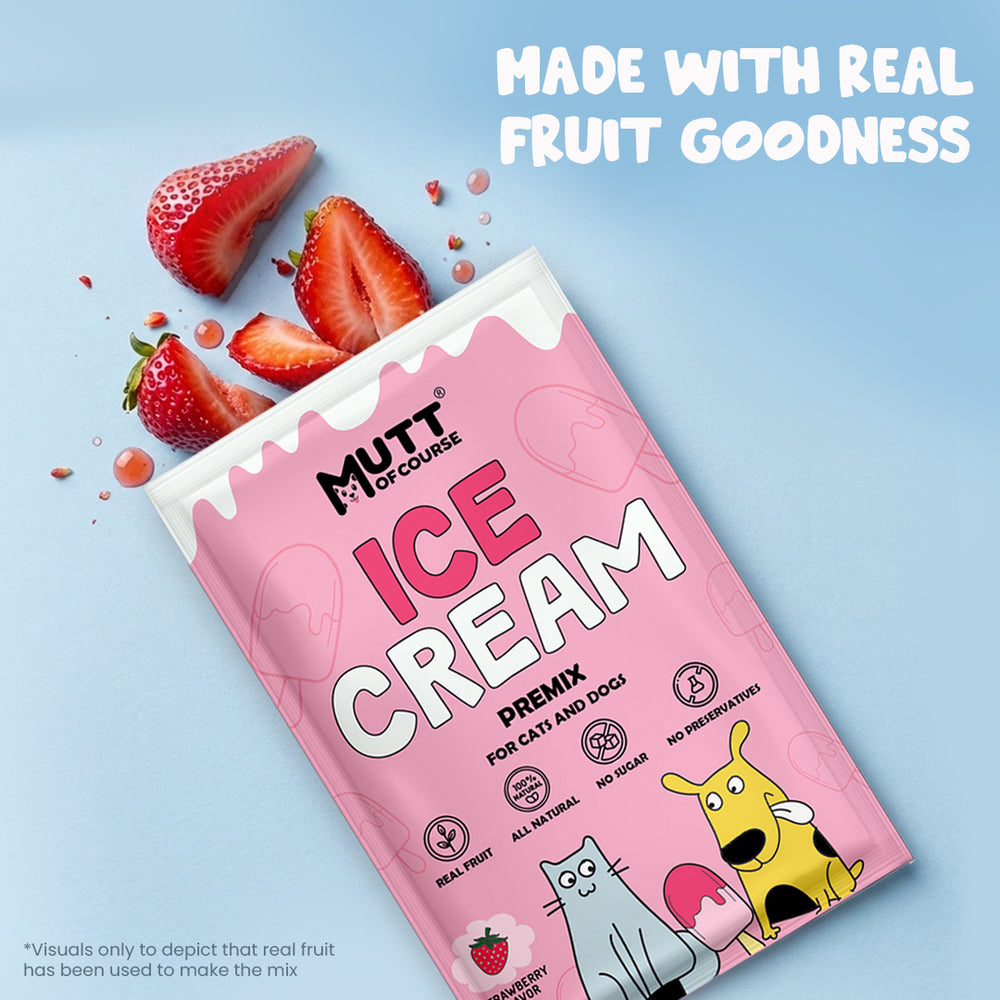 Duo Delight: Mango & Strawberry Ice Cream Premix for Cats & Dogs (Pet Nutritionist Approved)