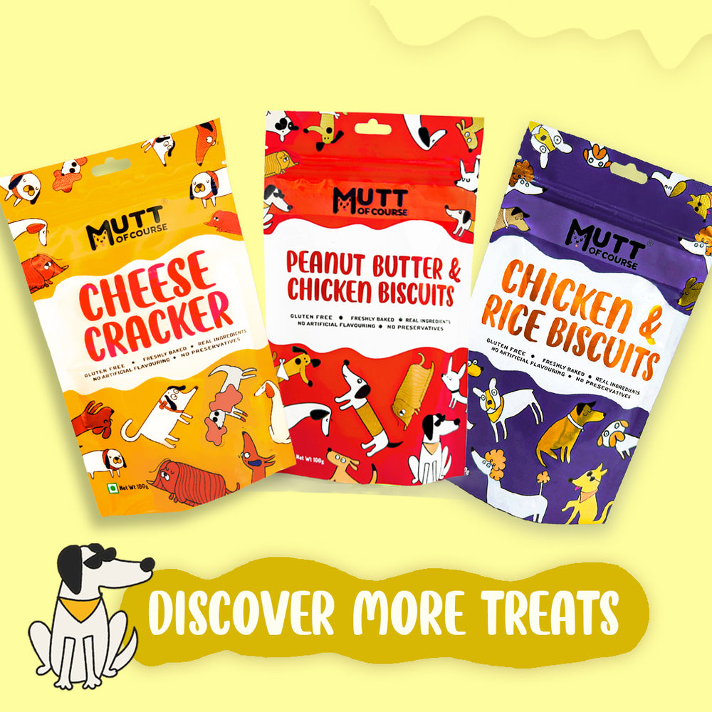 Chicken Rice Biscuits (For Cats And Dogs)