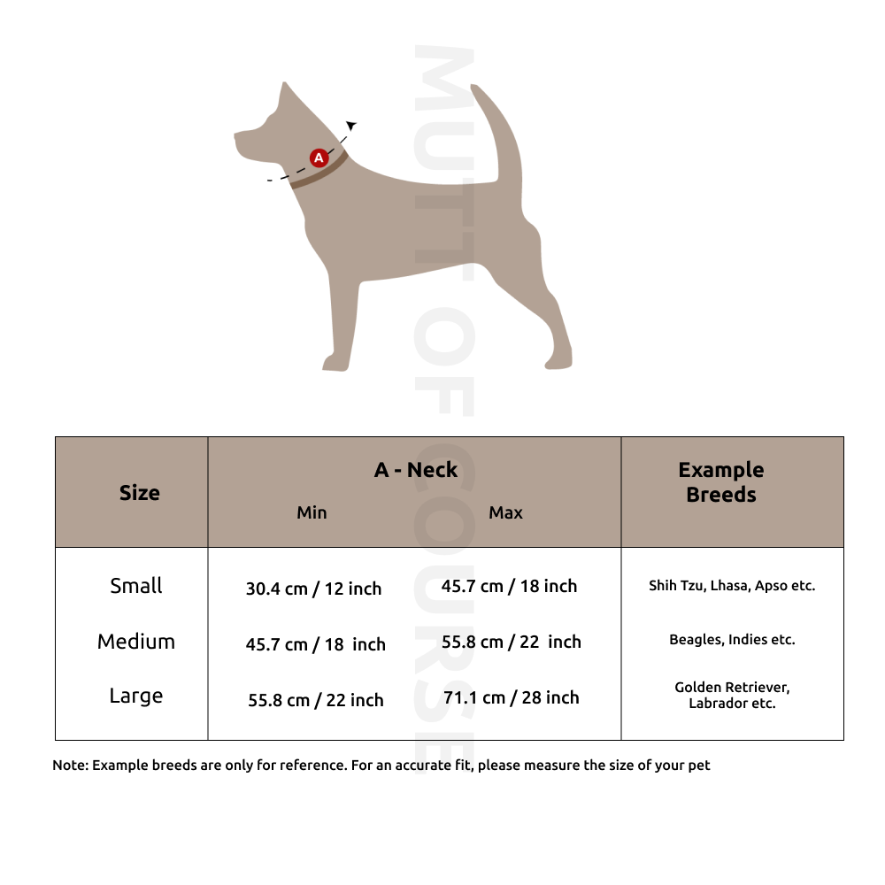 Royal Indian Camel Collar For Dogs