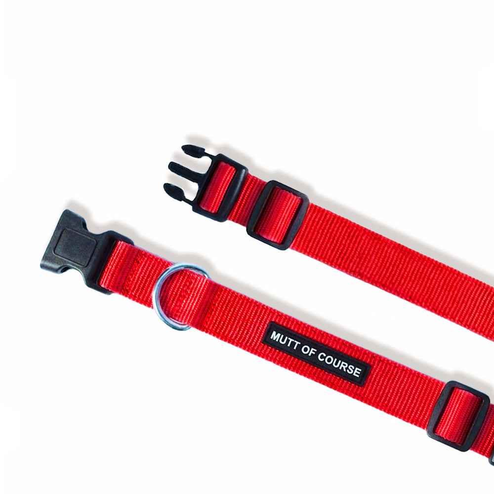 Mutt Of Course Basic Red Dog Collar