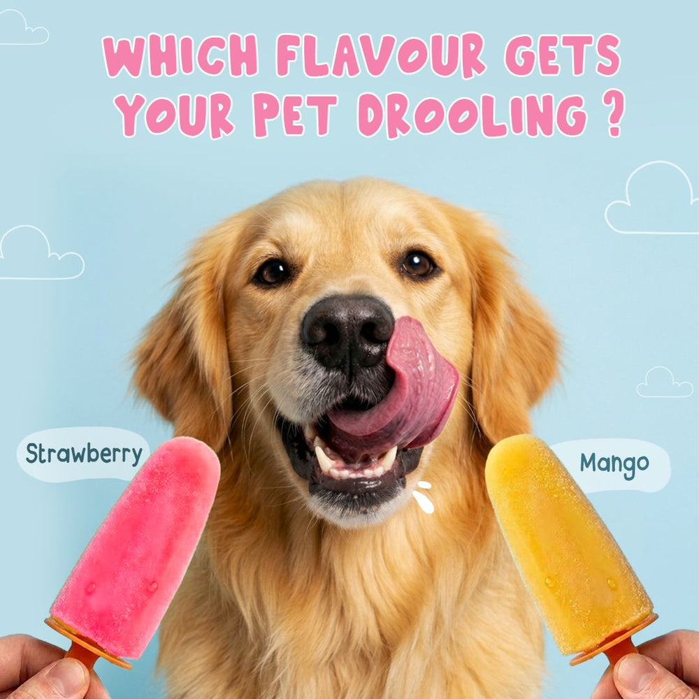 Duo Delight: Mango & Strawberry Ice Cream Premix for Cats & Dogs (Pet Nutritionist Approved)