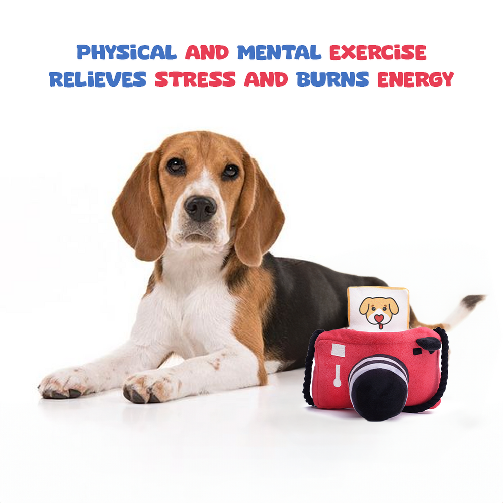 Pawlaroid Camera (2 Toys In 1)