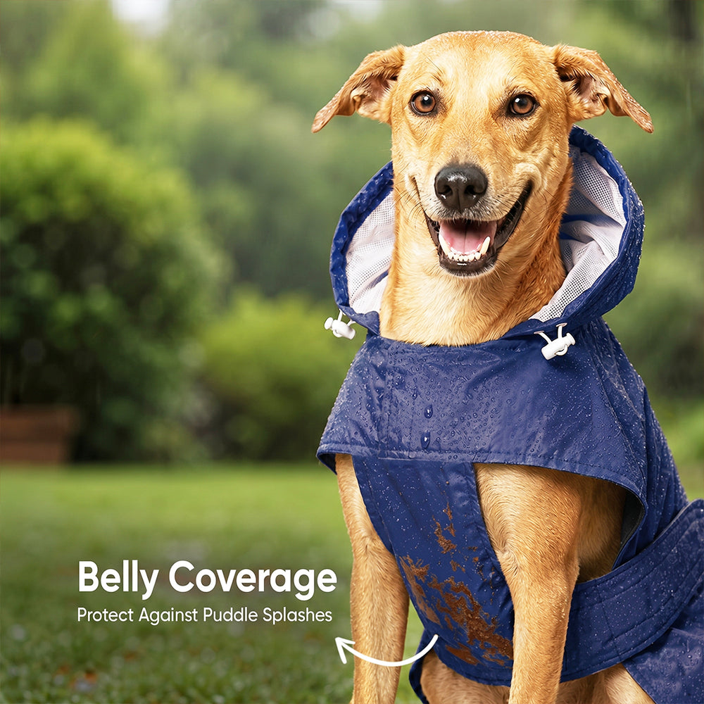 Rainy Trunks Waterproof Dog Raincoat with Hood & Mesh Lining | Collar & Harness Leash Opening | Blue