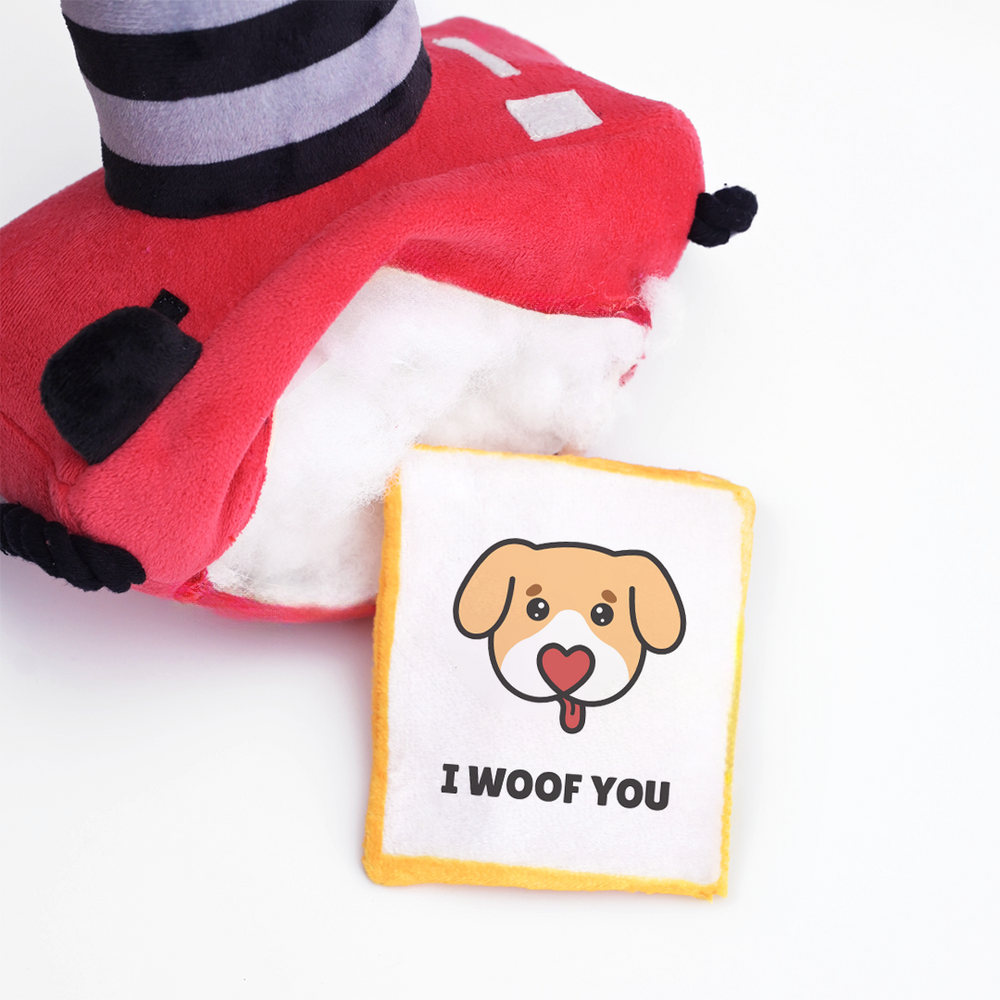 Pawlaroid Camera (2 Toys In 1)