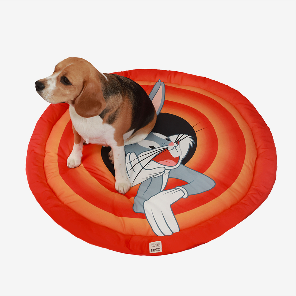 Bugs Bunny Resting Mat Mutt of Course