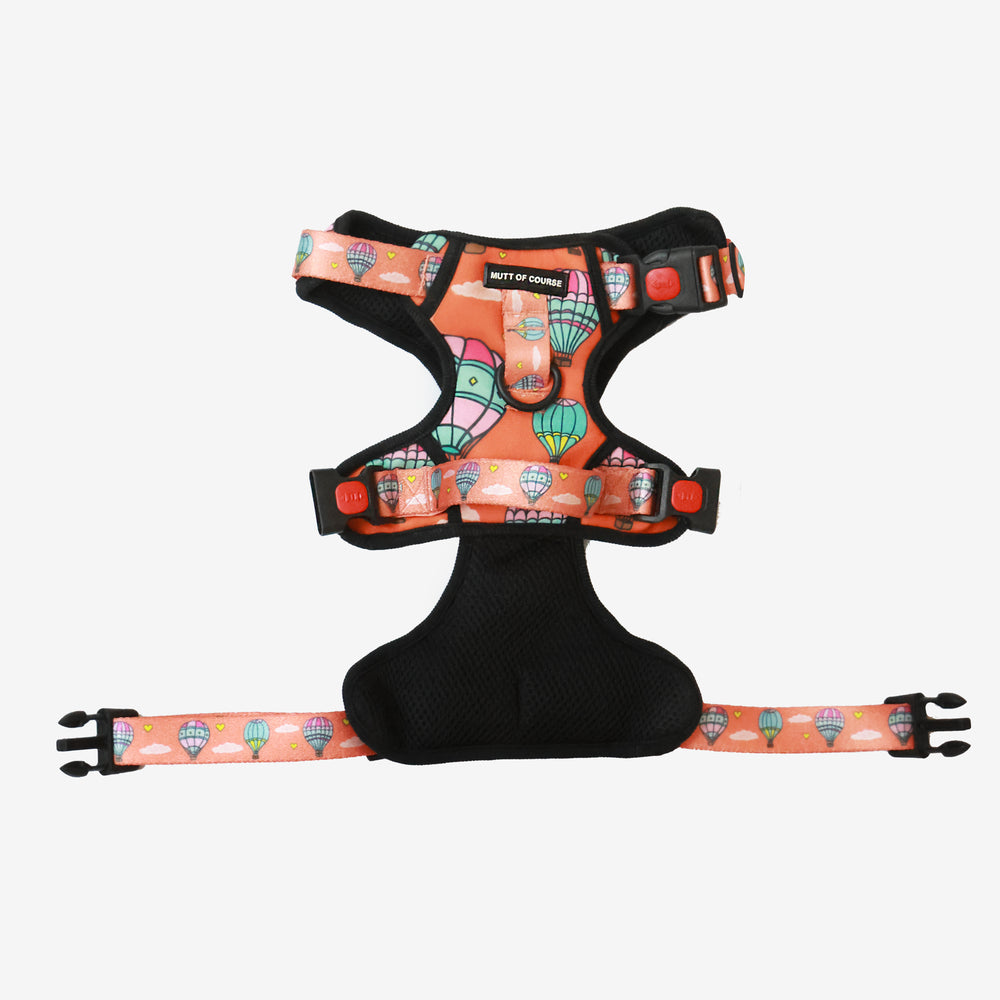 Hot Air Balloon Ruff N&