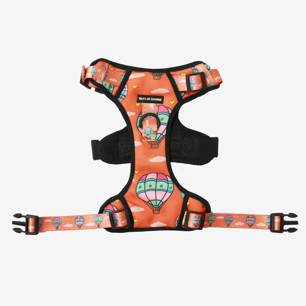 Hot Air Balloon Ruff N&