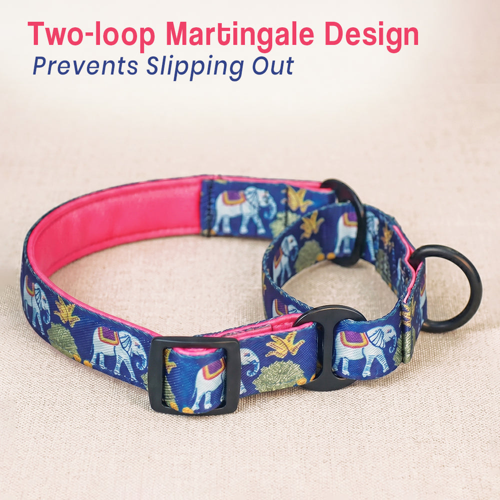 Royal Indian Elephant Martingale Collar