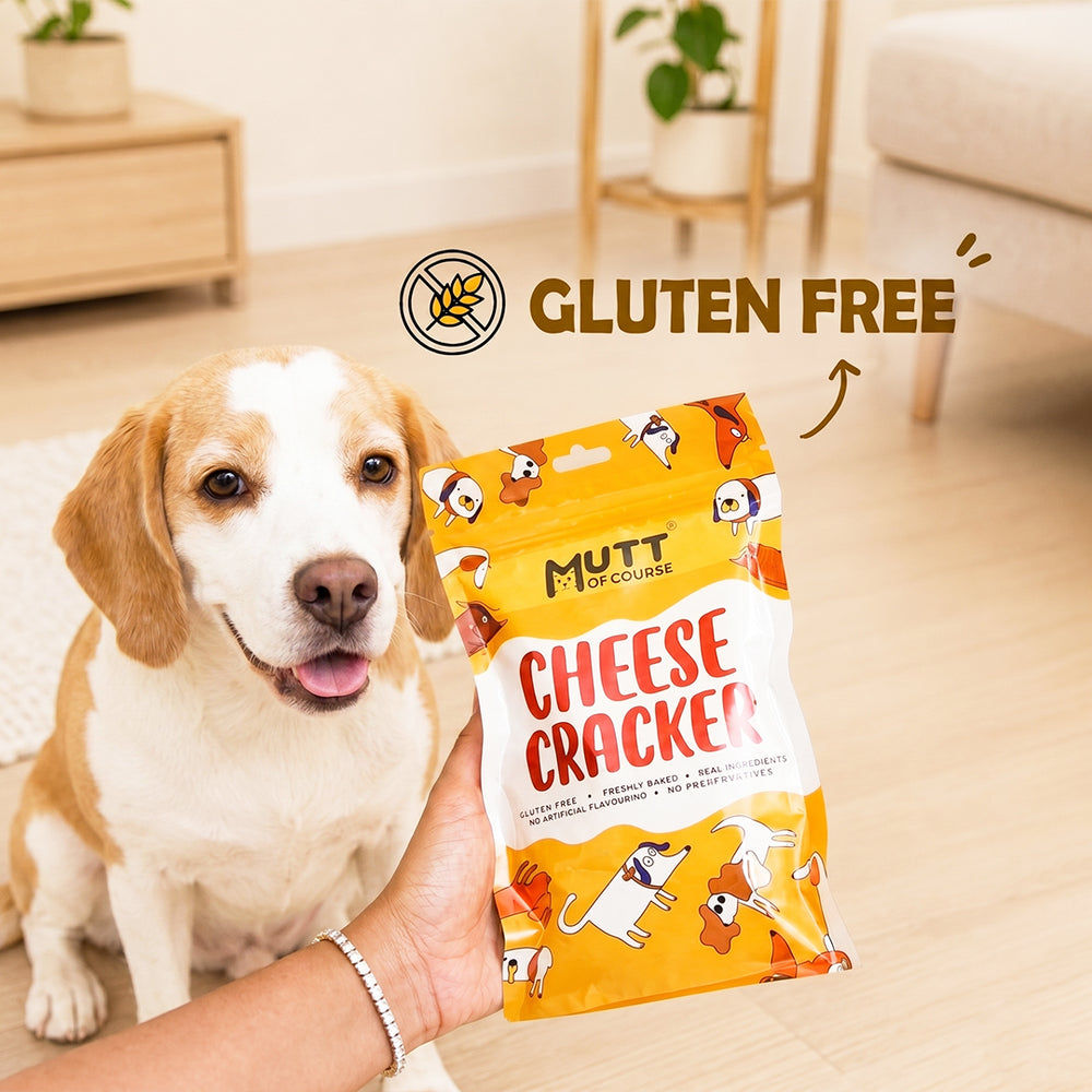 Cheese Crackers For Dogs