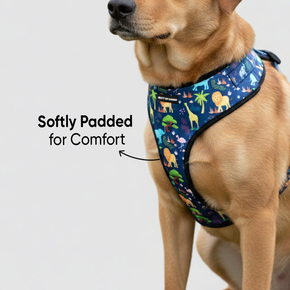 Jungle Vest Harness For Dogs