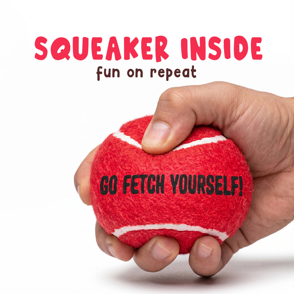 Squeaky Fetch Balls - Set of 2