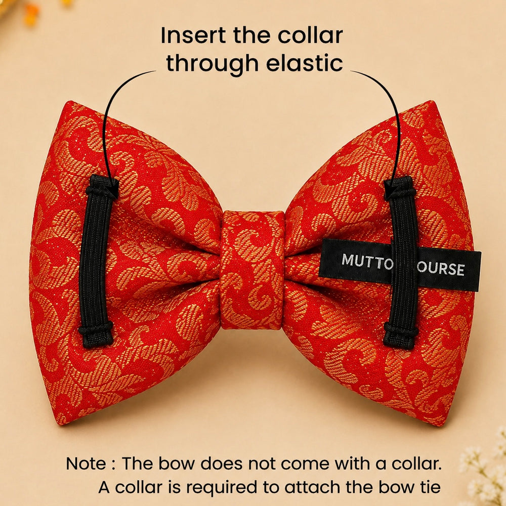 Festive Paw-Tie | Red & Gold Dog Bow Tie | Attachment