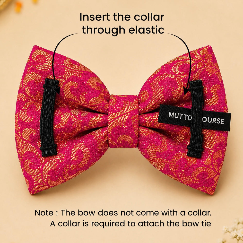 Festive Paw-Tie | Pink & Gold Dog Bow Tie | Attachment