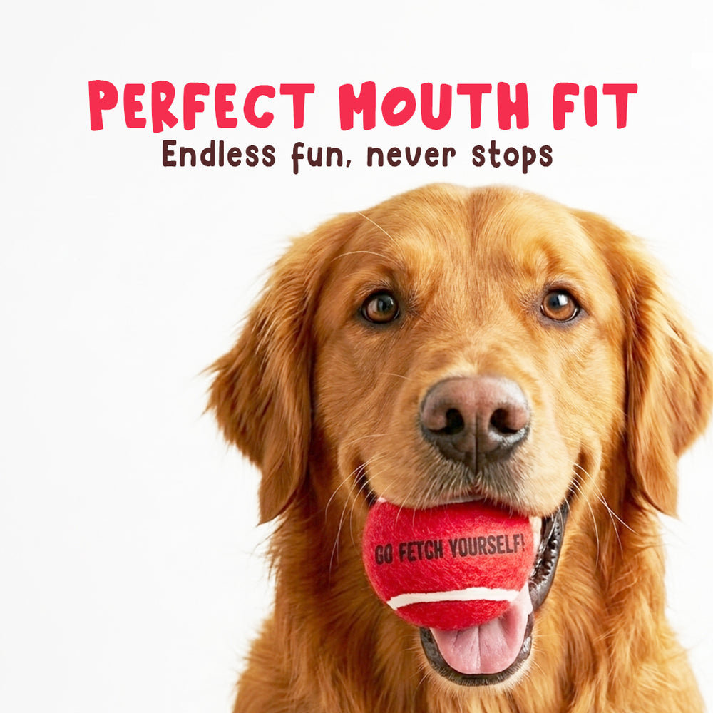 Squeaky Fetch Balls - Set of 2