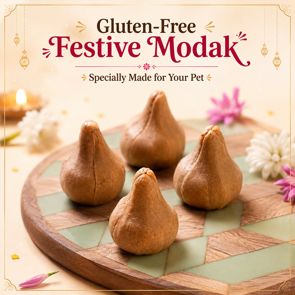 Modaks | Set of 4 in 1 box | Festive Treat for Dogs & Cats