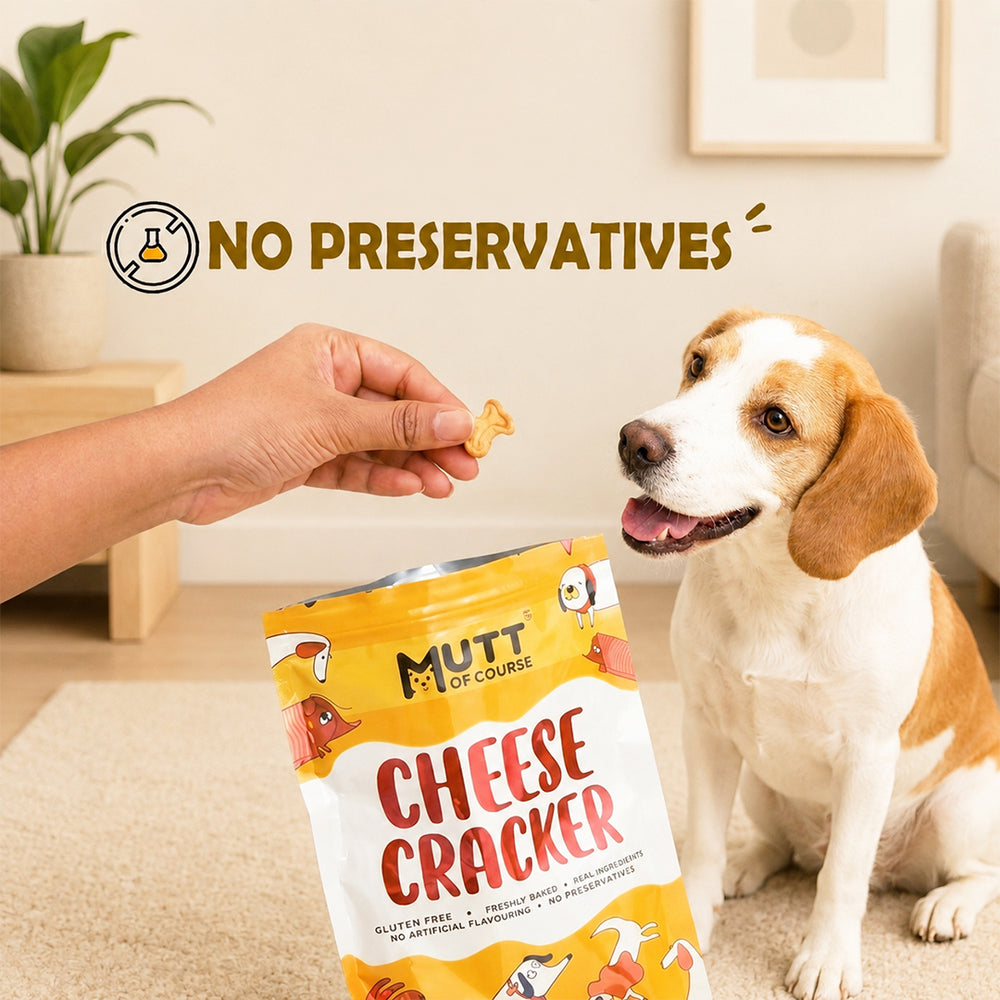 Cheese Crackers For Dogs