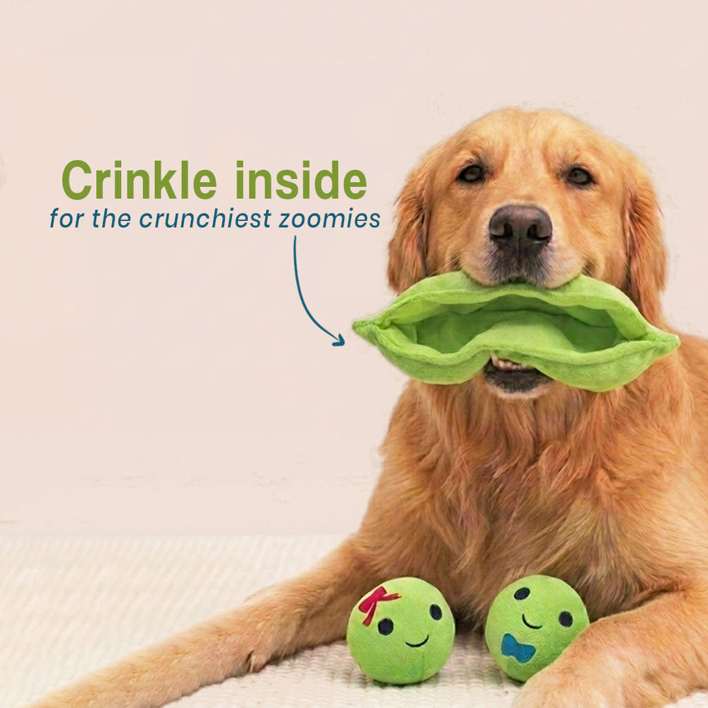 Peas In A Pod