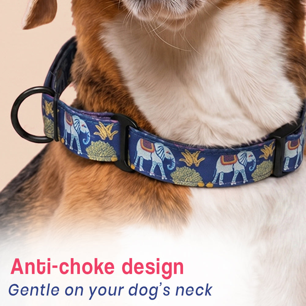 Royal Indian Elephant Martingale Collar