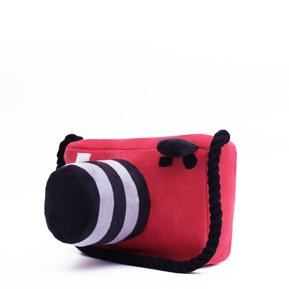 Pawlaroid Camera (2 Toys In 1)