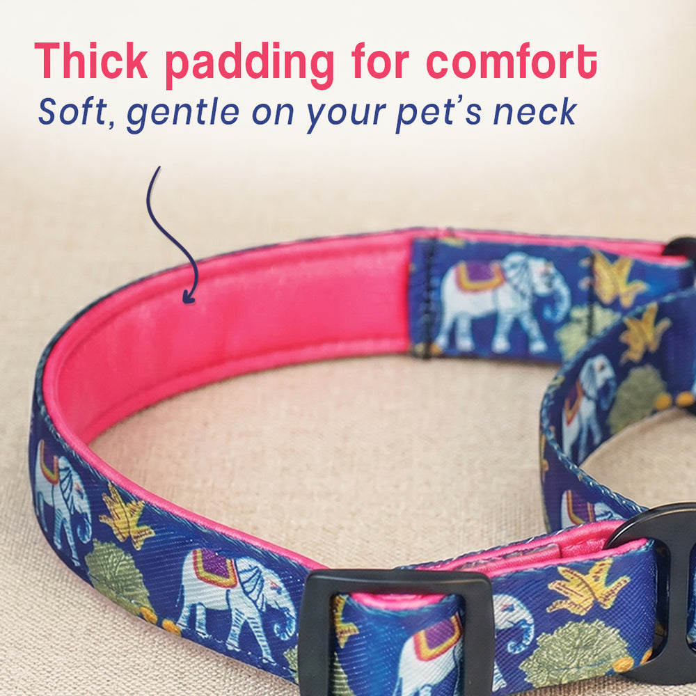 Royal Indian Elephant Martingale Collar