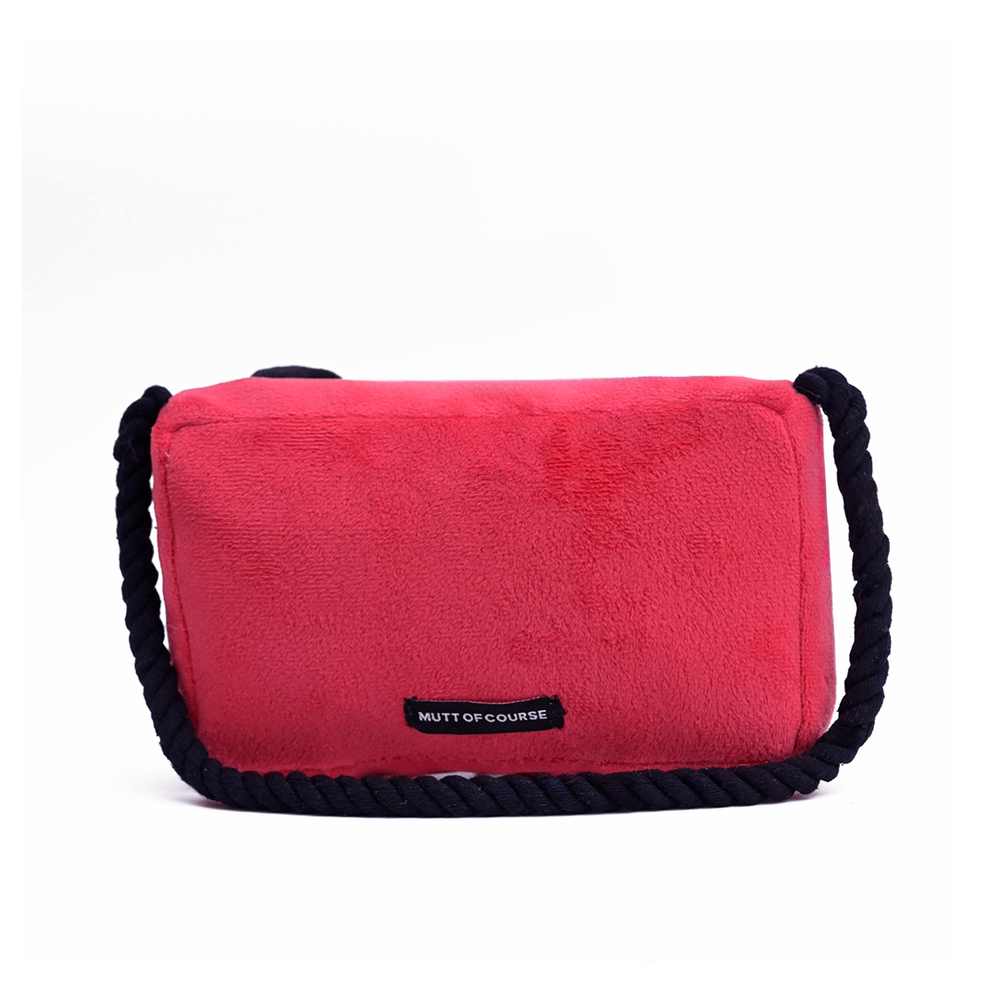 Pawlaroid Camera (2 Toys In 1)