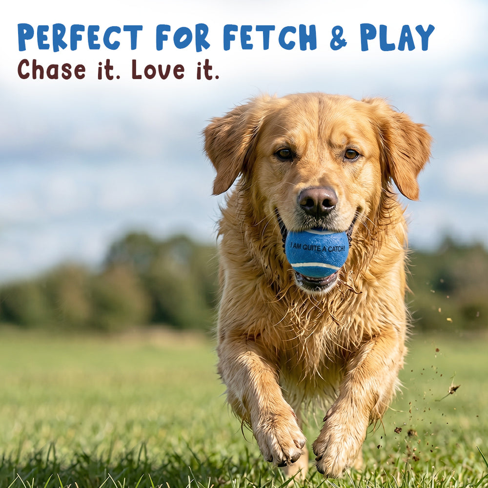 Squeaky Fetch Balls - Set of 2