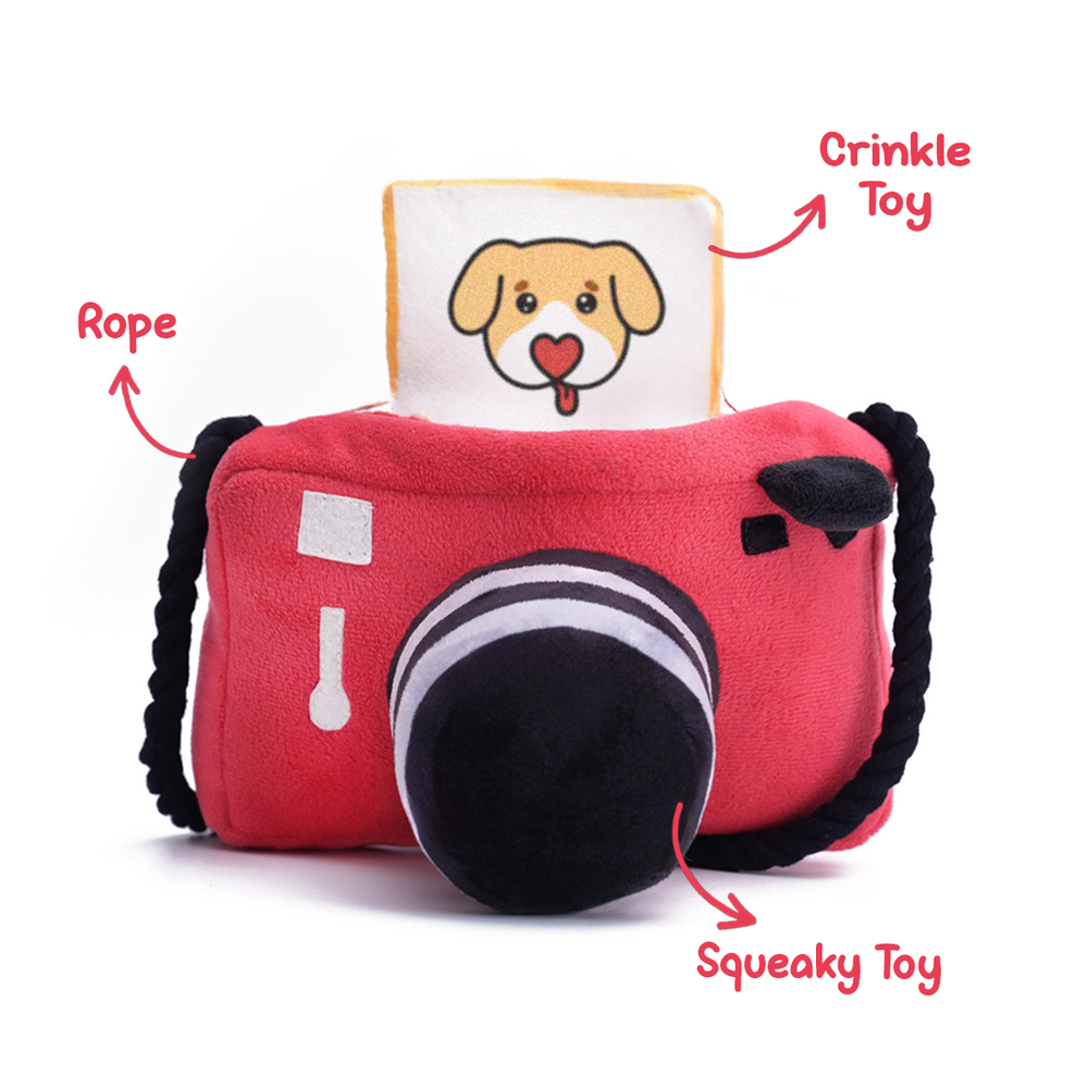 Pawlaroid Camera (2 Toys In 1)