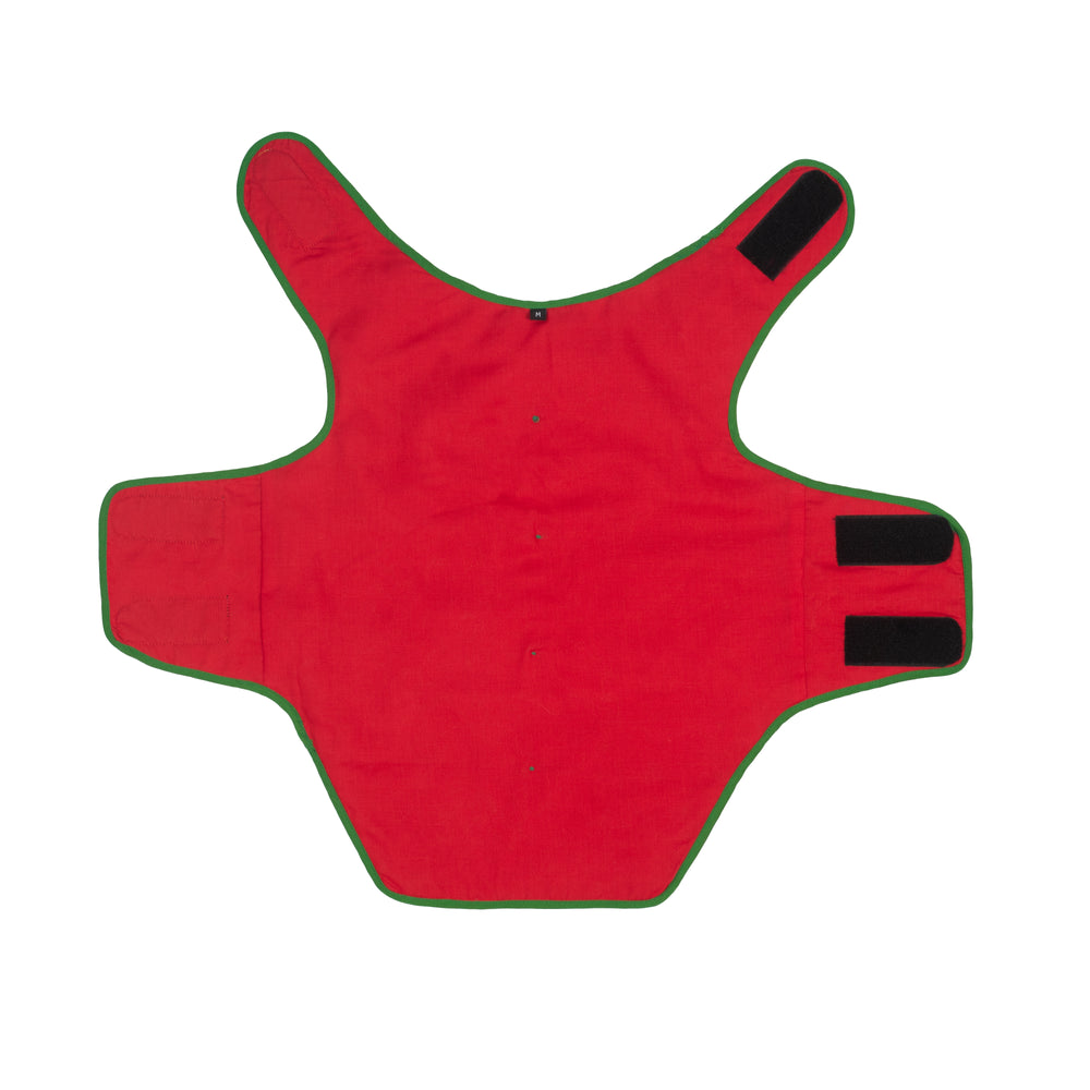 Red Brocade Dog Sherwani